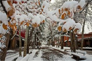210 Cooper Hotel Aspen Exterior foto